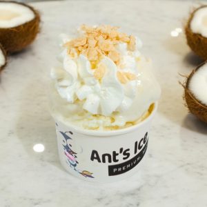 Coconut Ice Cream Antsicecream