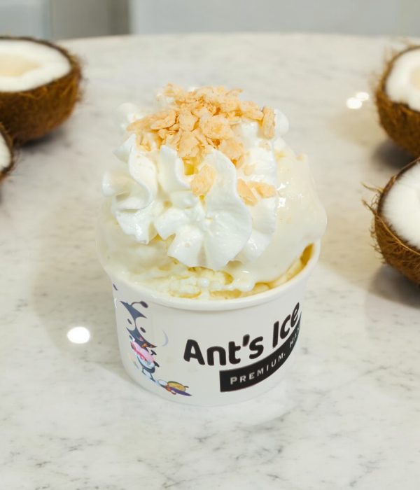 Coconut Ice Cream Antsicecream