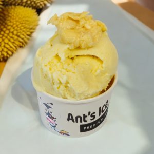 Durian Ice Cream Antsicecream