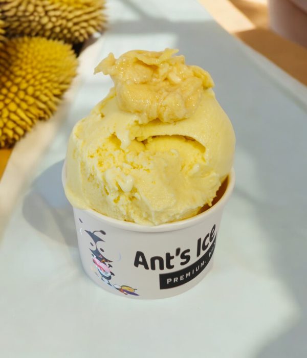 Durian Ice Cream Antsicecream