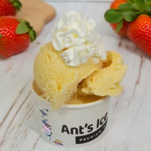 Jackfruit Ice Cream Antsicecream