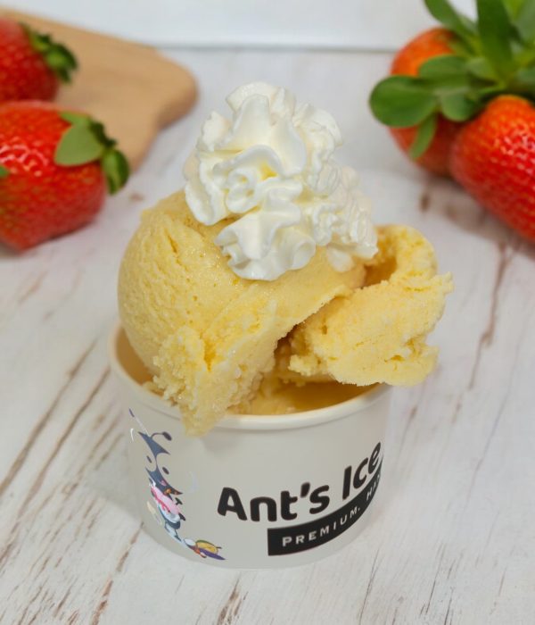 Jackfruit Ice Cream Antsicecream