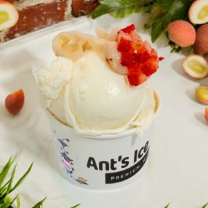 Lychee Ice Cream Antsicecream