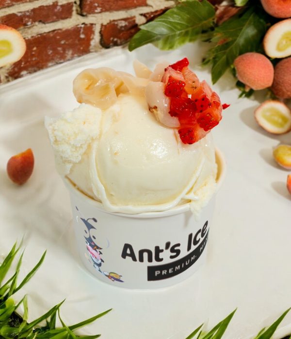 Lychee Ice Cream Antsicecream