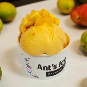 Mango Ice Cream Antsicecream