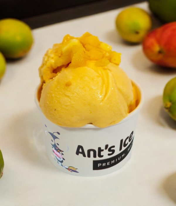 Mango Ice Cream Antsicecream