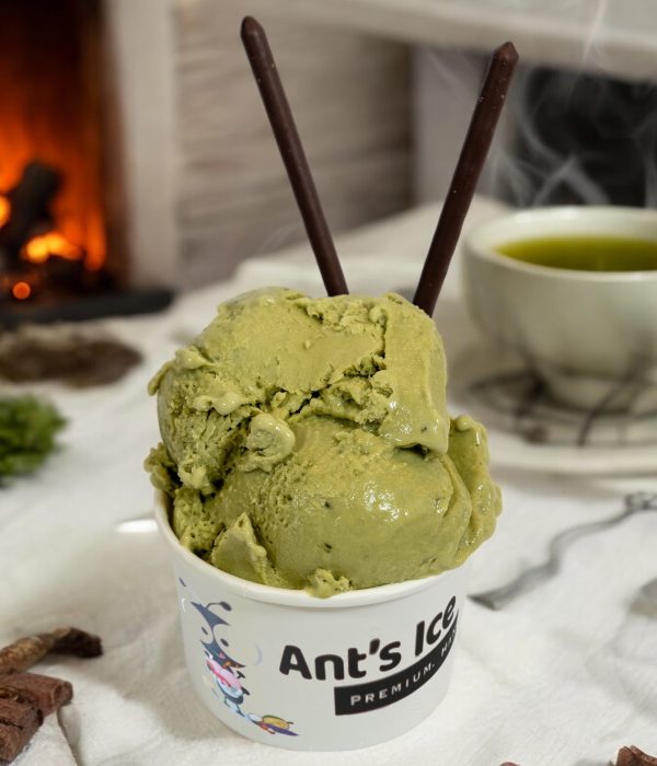 Matcha Green Tea Ice Cream Antsicecream