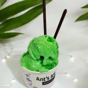 Pandan Mung Bean Ice Cream Antsicecream