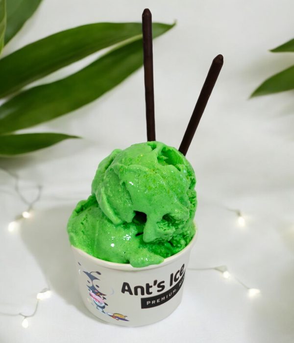 Pandan Mung Bean Ice Cream Antsicecream