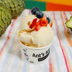 Soursop Ice Cream Antsicecream