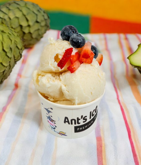 Soursop Ice Cream Antsicecream