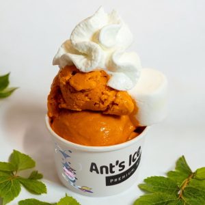 Thai Tea Ice Cream Antsicecream