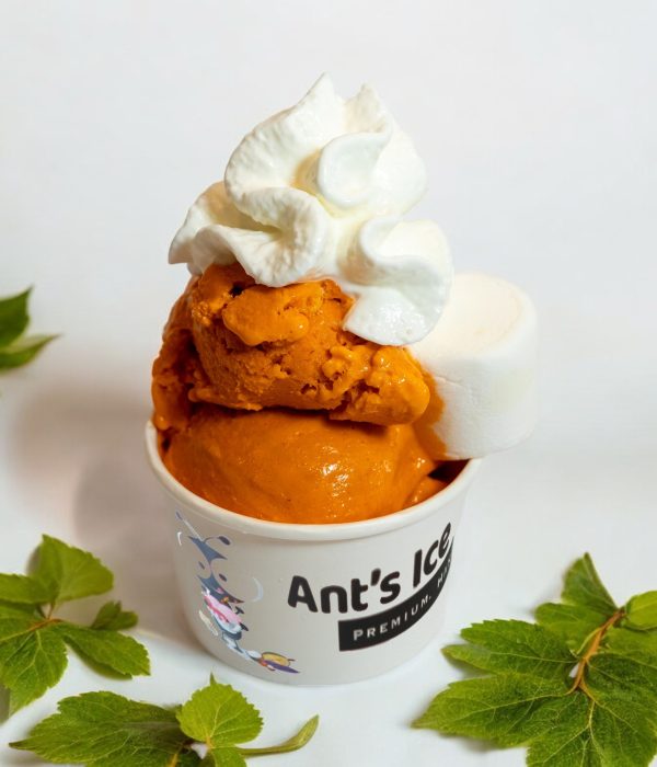 Thai Tea Ice Cream Antsicecream