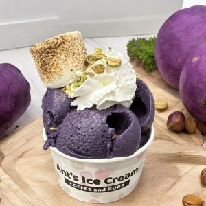 Ube Ice Cream Antsicecream