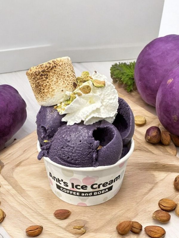 Ube Ice Cream Antsicecream