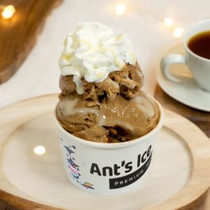 Vietnamese Coffee Ice Cream Antsicecream