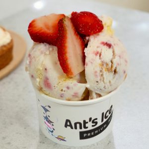 Strawberry Shortcake Ice Cream Antsicecream