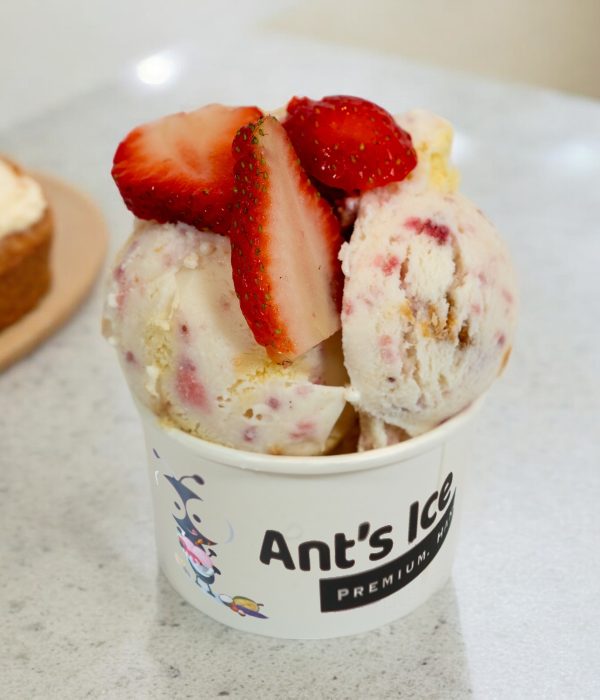 Strawberry Shortcake Ice Cream Antsicecream