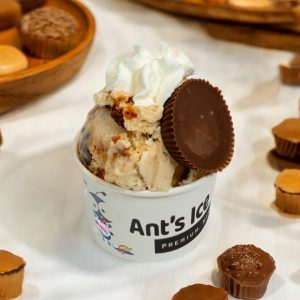 Butterfinger Ice Cream Antsicecream