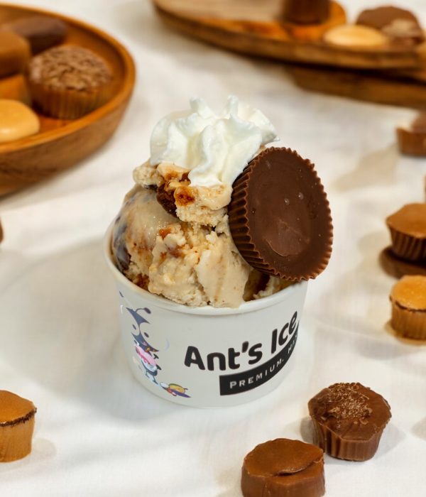 Butterfinger Ice Cream Antsicecream