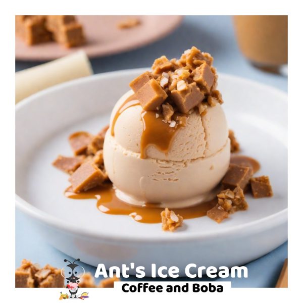 Sea Salt Caramel Ice Cream 1