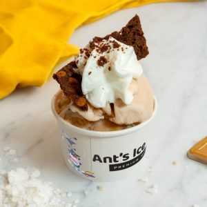 Sea Salt Caramel Ice Cream Antsicecream