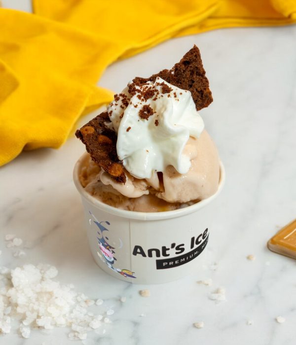 Sea Salt Caramel Ice Cream Antsicecream