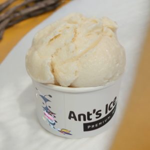 Vanilla Bean Ice Cream Antsicecream