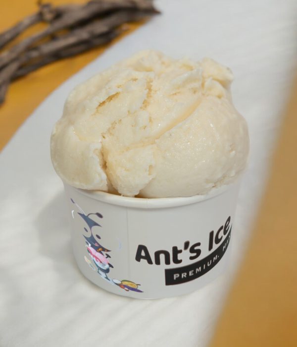 Vanilla Bean Ice Cream Antsicecream