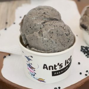 Black Sesame Ice Cream Antsicecream