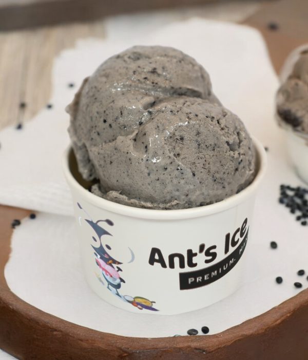 Black Sesame Ice Cream Antsicecream