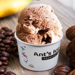 Chocolate Banana Ice Cream Antsicecream