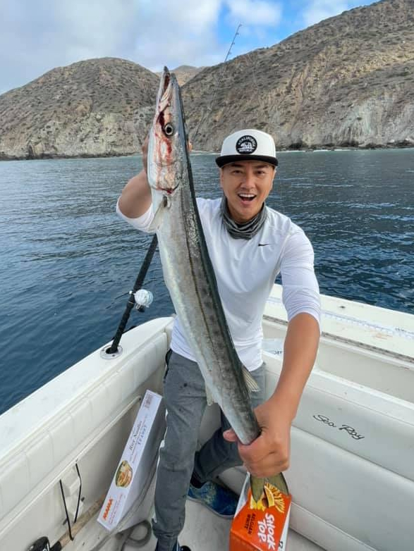 Barracuda